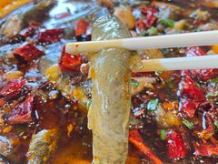 情妹耙泥鳅-情妹耙泥鳅·江湖川菜(科华店)