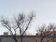 -红花点心局(护国寺店)