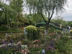 -上海鲜花港