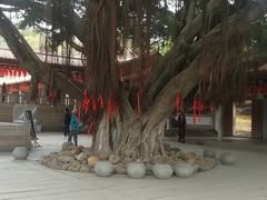 -泉州酒店-温陵中餐厅(庄府巷店)