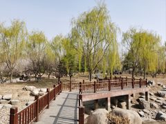 -莲花池公园