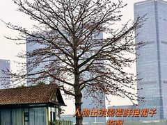 -喜洲吧·江畔老船厂·庭院餐厅(喜临院店)