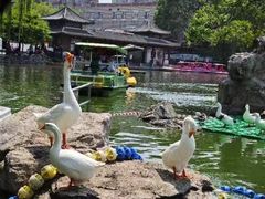 -团结湖公园