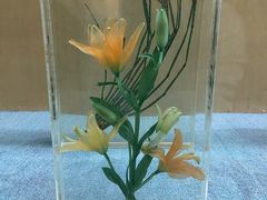 -陕西自然博物馆