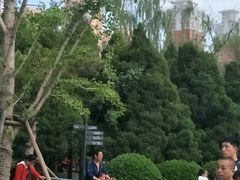 -迎泽公园