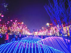 -大唐不夜城
