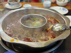 -金鼎雪山牦牛杂火锅(理县总店)