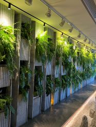 -VELEE·SPA高定疗愈会所