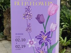 -深圳仙湖植物园