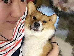 -美联众合动物医院·24h京西诊疗中心