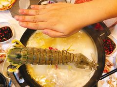 -鲜入围煮花胶鸡海鲜火锅