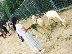 -北京麋鹿生态实验中心