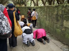 -普陀山慧济禅寺