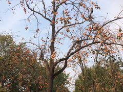 -北京动物园-畅观楼