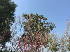 -尚贤河湿地
