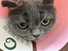 -仁华宠物医院(青羊店)