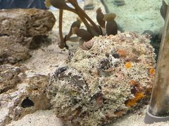 -太平洋海底世界