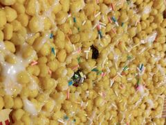 -拙味兄弟龙虾·江湖菜(和畅堂店)