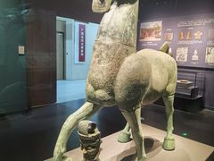 -广西壮族自治区博物馆