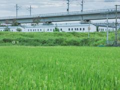-光明小镇欢乐田园
