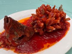 松鼠桂鱼-亢龙太子酒轩·花园店