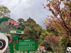 -碧峰峡风景区