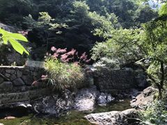 -白云源风景区
