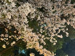 -玛格萝妮比萨屋(四平店)