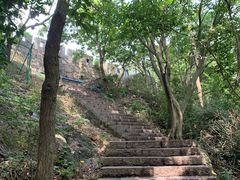 -紫金山山顶公园