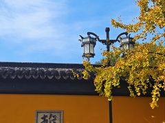 -西园戒幢律寺