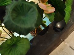 -客家班·客家菜(嘉禾金铂店)
