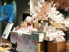 -九木杂物社(东方宝泰店)