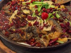 -老板恋上鱼(恒隆广场店)