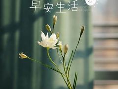 -哈尔滨极乐寺