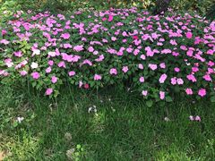 -北京宽沟会议中心