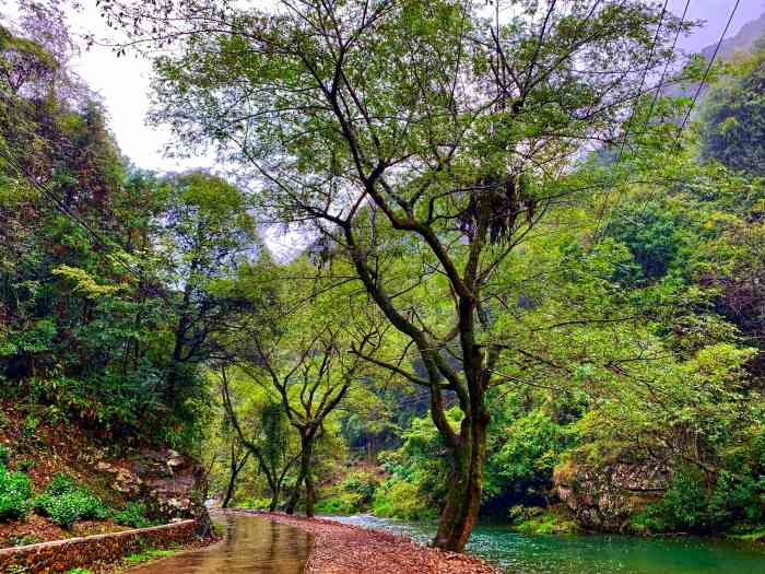 水墨汀溪：原生态净土，国家 4A 级景区，避暑漂流好去处