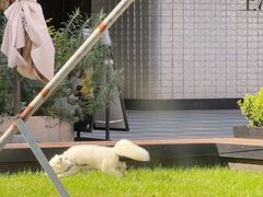 -苏州河梦清园环保主题公园