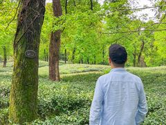 -野蔓果·山野菜(西湖景区·龙井茶田店)