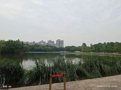 -新江湾城公园