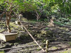 -海口火山口国家地质公园