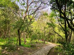 -上海佘山国家森林公园天马山园