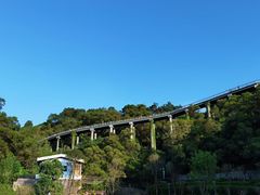 -金鸡山公园