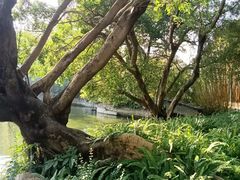 -东莞市可园博物馆