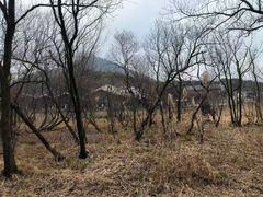 -西湖风景区-江洋畈生态公园