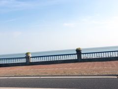 -合肥滨湖国家森林公园