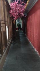 -盘子女人坊生日照·摄影馆(华强店)