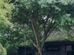-诸葛双忠祠
