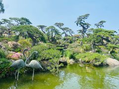 -罗红摄影艺术馆