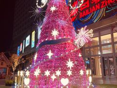 -新白鹿餐厅(百联中环店)