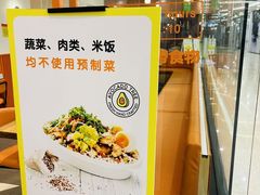 -油梨树 AVOCADO TREE(亮马桥店)